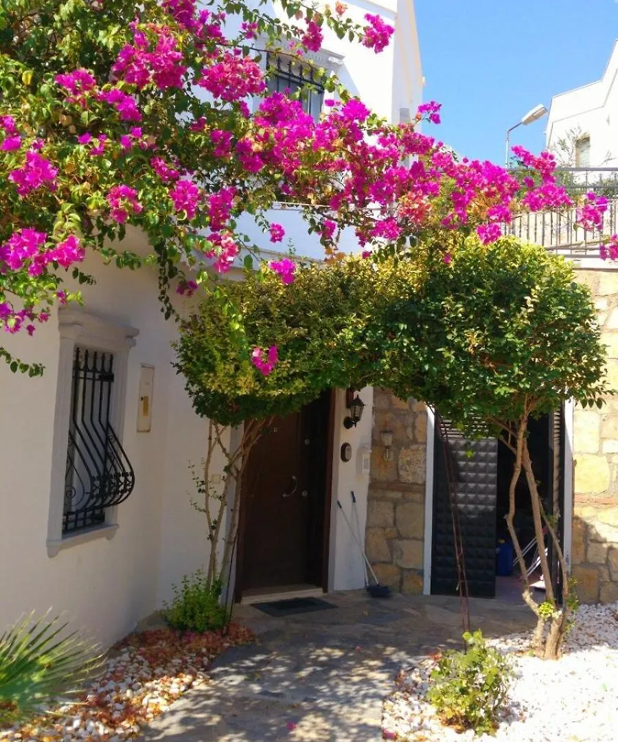 Bodrum Center Sea View Villa 0*,