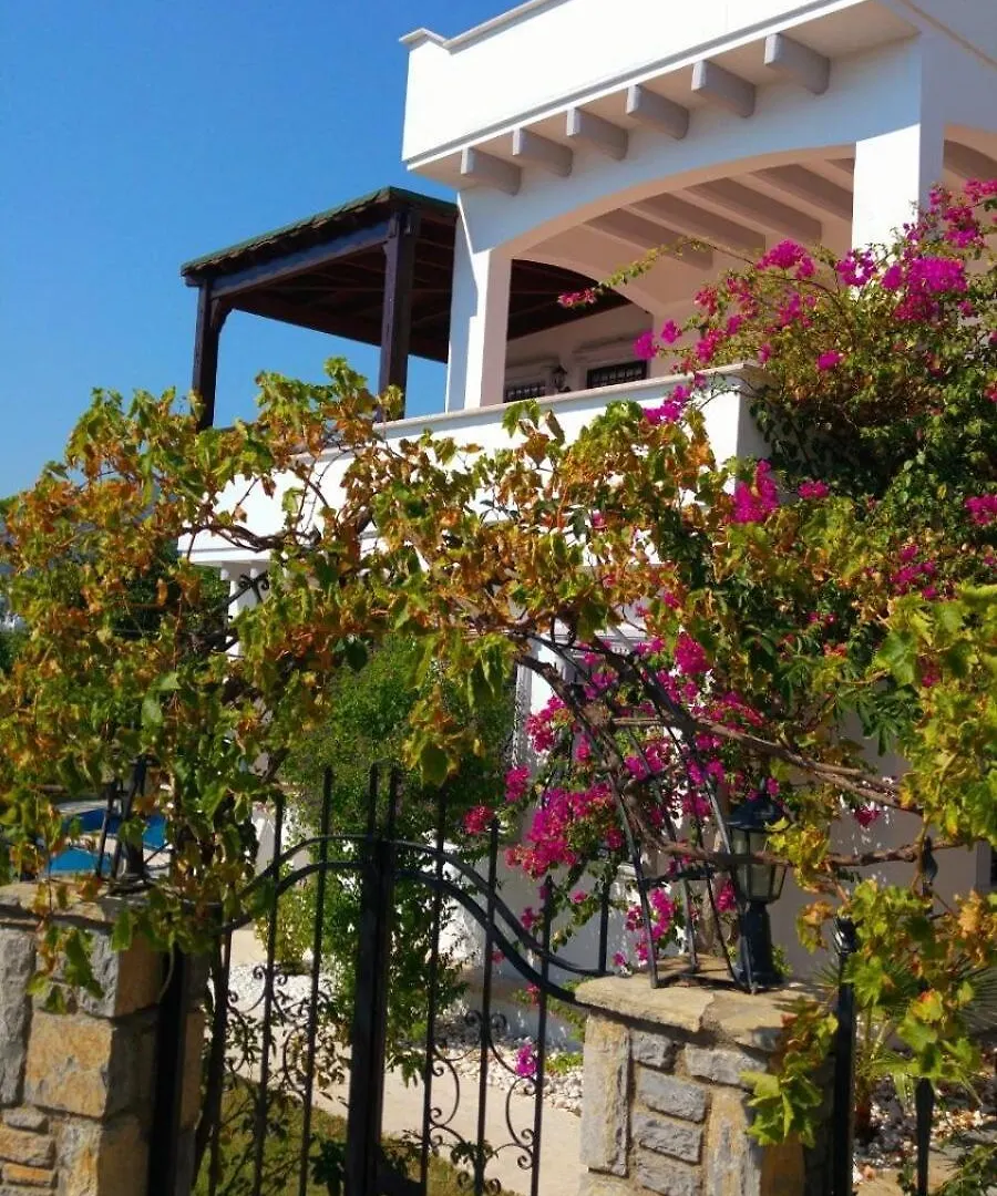 Bodrum Center Sea View Villa